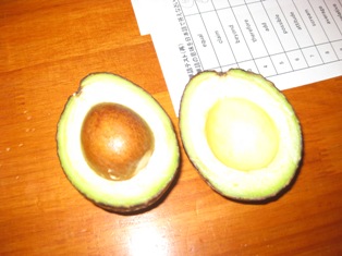 avocado_01