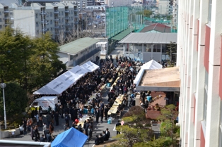 gokosaiarumamu2013-5