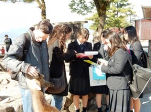 miyajima2014-2